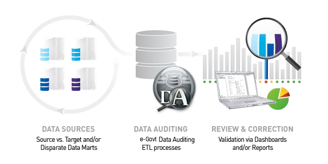  Data Auditing